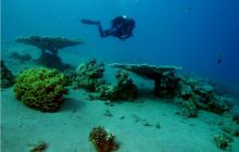 Egipt Dahab - październik 2006