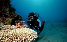 Egipt Dahab - październik 2006