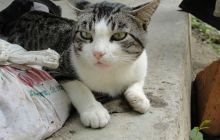 Galapagos listopad 2011