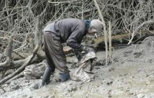 Galapagos listopad 2011