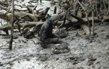 Galapagos listopad 2011