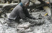 Galapagos listopad 2011