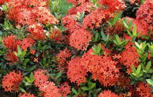 Galapagos listopad 2011