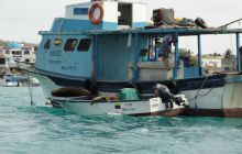 Galapagos listopad 2011