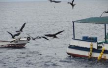 Galapagos listopad 2011