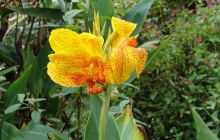 Galapagos listopad 2011