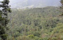 Galapagos listopad 2011