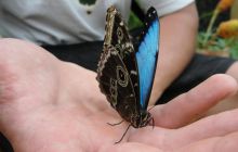 Galapagos listopad 2011