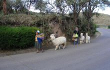 Galapagos listopad 2011