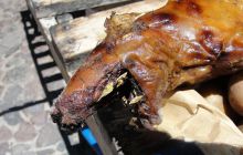 Galapagos listopad 2011