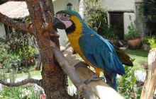 Galapagos listopad 2011