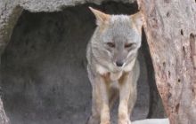 Galapagos listopad 2011