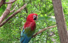 Galapagos listopad 2011