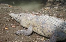 Galapagos listopad 2011