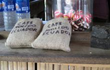 Galapagos listopad 2011