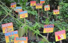 Galapagos listopad 2011