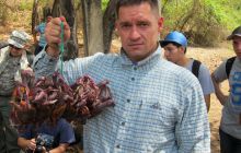 Galapagos listopad 2011