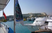 Dedalus październik 2011