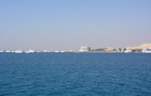 Dedalus październik 2011