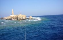 Dedalus październik 2011