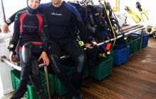 Dedalus październik 2011