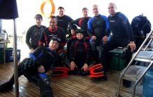 Dedalus październik 2011