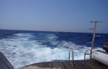 Dedalus październik 2011