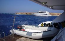 Dedalus październik 2011