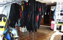 Dedalus październik 2011