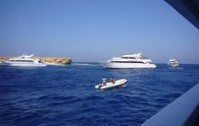 Dedalus październik 2011