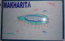 Dedalus październik 2011