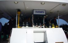 Dedalus październik 2011