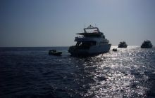 Dedalus październik 2011