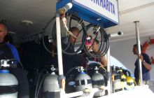 Dedalus październik 2011