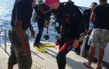 Dedalus październik 2011