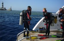 Dedalus październik 2011