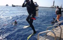 Dedalus październik 2011