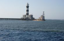 Dedalus październik 2011