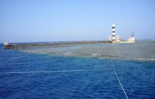 Dedalus październik 2011