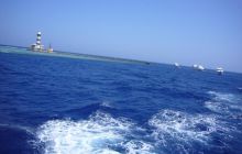 Dedalus październik 2011