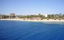 Dedalus październik 2011