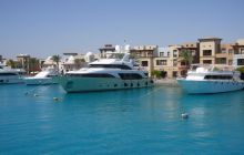 Dedalus październik 2011