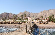 Dahab listopad 2011