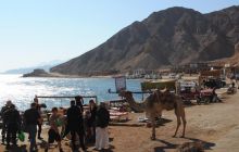 Dahab listopad 2011
