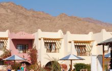 Dahab listopad 2011
