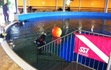 SSI Up date - Styczeń 2012 