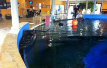 SSI Up date - Styczeń 2012 