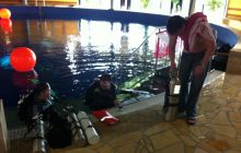 SSI Up date - Styczeń 2012 