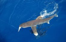 Egipt Hurghada - wrzesień 2007