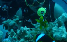 Egipt Hurghada - wrzesień 2007